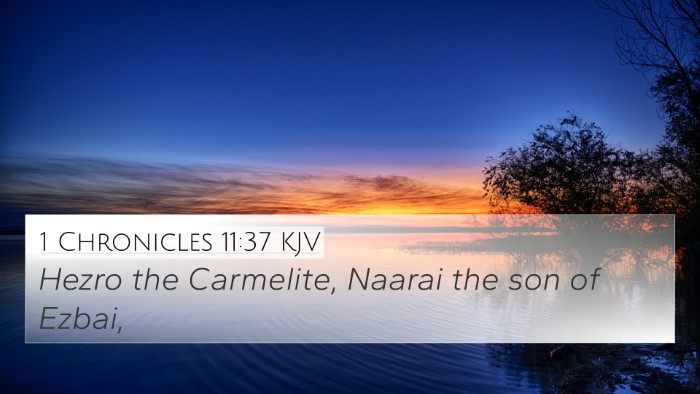 1 Chronicles 11:37 KJV 4K Wallpaper - Hezro the Carmelite, Naarai the son of - 4K Wallpaper Bible Verse