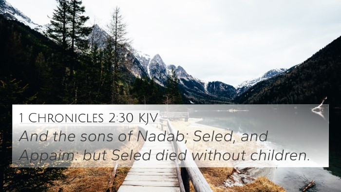 1 Chronicles 2:30 KJV 4K Wallpaper - And the sons of Nadab; Seled, and Appaim: but - 4K Wallpaper Bible Verse