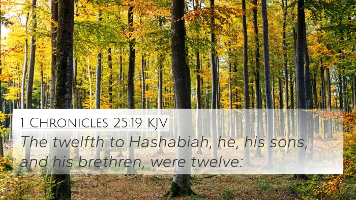 1 Chronicles 25:19 KJV 4K Wallpaper - The twelfth to Hashabiah, he, his sons, and his - 4K Wallpaper Bible Verse