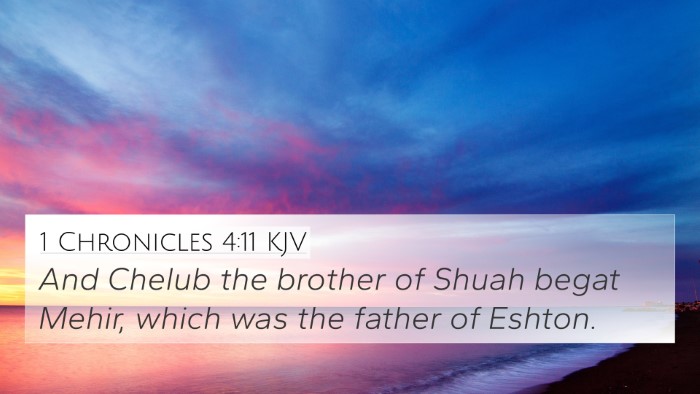 1 Chronicles 4:11 KJV 4K Wallpaper - And Chelub the brother of Shuah begat Mehir, - 4K Wallpaper Bible Verse