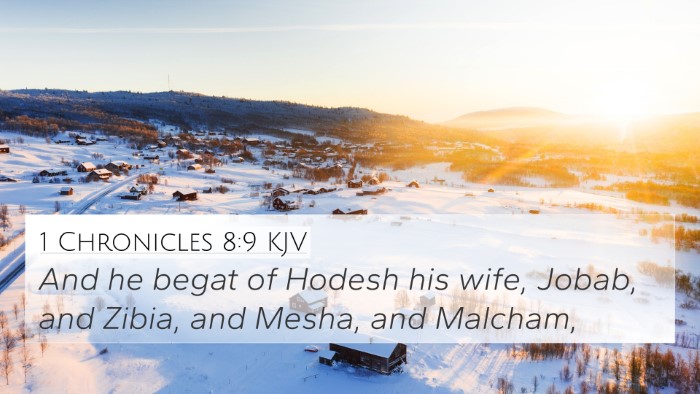 1 Chronicles 8:9 KJV 4K Wallpaper - And he begat of Hodesh his wife, Jobab, and - 4K Wallpaper Bible Verse