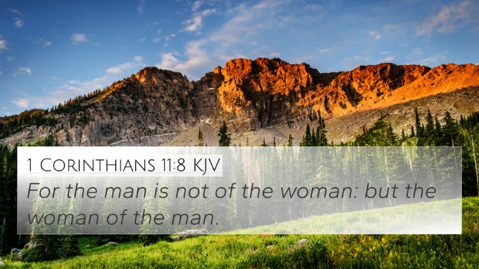 1 Corinthians 11:8 KJV Bible Verse Image