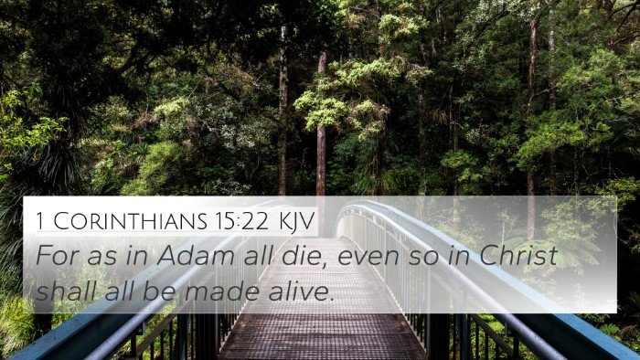 1 Corinthians 15:22 KJV Bible Verse Image