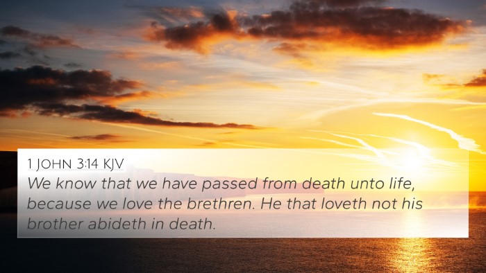 1 John 3:14 KJV Bible Verse Image