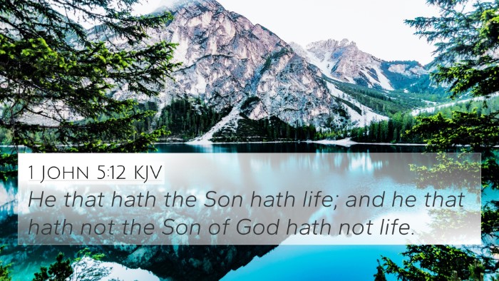 1 John 5:12 KJV 4K Wallpaper - He that hath the Son hath life; and he that hath - 4K Wallpaper Bible Verse