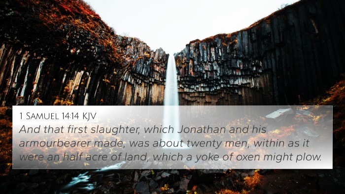 1 Samuel 14:14 KJV Bible Verse Image