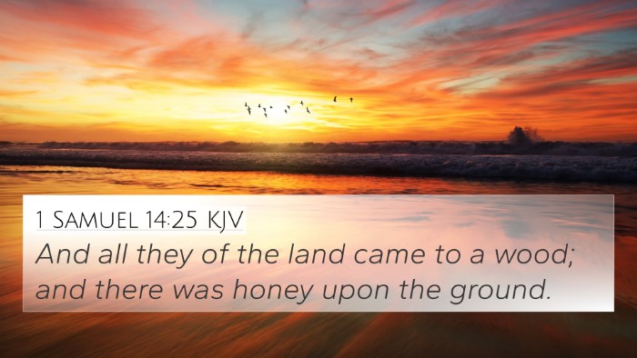 1 Samuel 14:25 KJV Bible Verse Image