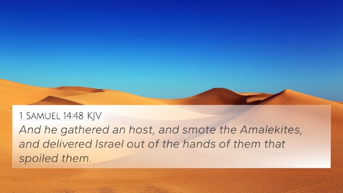 1 Samuel 14:48 KJV Bible Verse Image