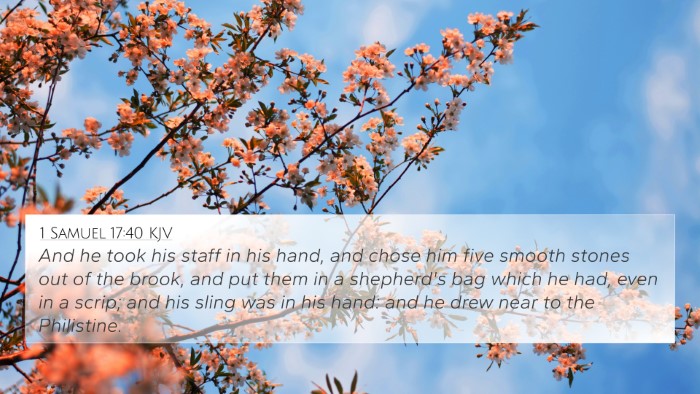 1 Samuel 17:40 KJV Bible Verse Image