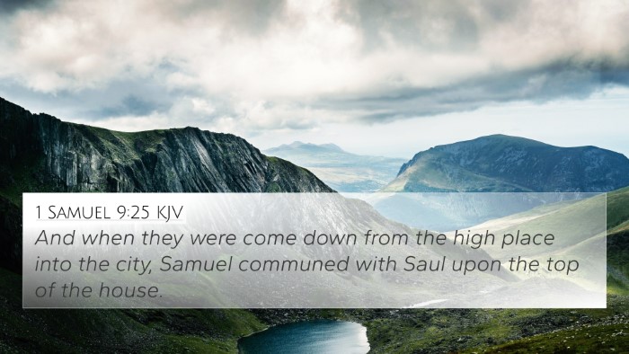 1 Samuel 9:25 KJV 4K Wallpaper - And when they were come down from the high place - 4K Wallpaper Bible Verse