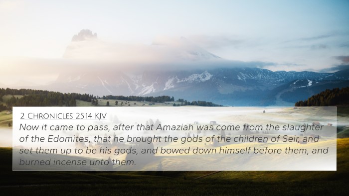 2 Chronicles 25:14 KJV Bible Verse Image