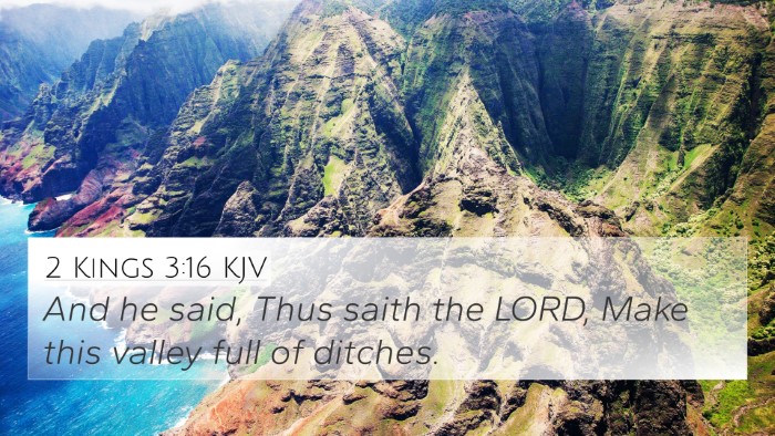 2 Kings 3:16 KJV Bible Verse Image
