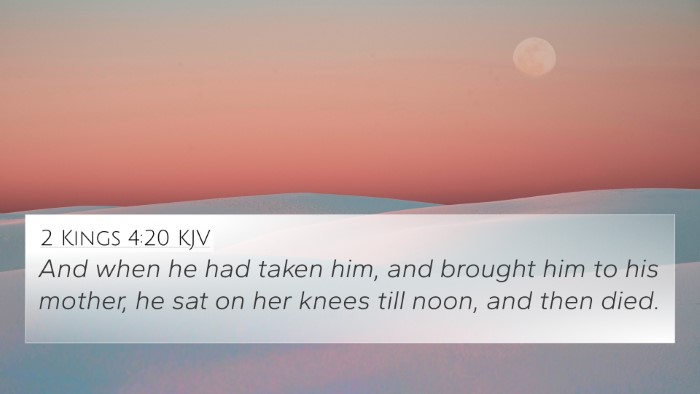 2 Kings 4:20 KJV Bible Verse Image
