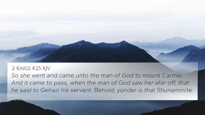 2 Kings 4:25 KJV Bible Verse Image