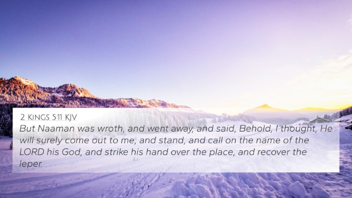2 Kings 5:11 KJV Bible Verse Image