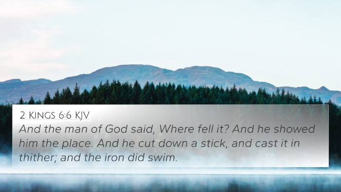 2 Kings 6:6 KJV Bible Verse Image