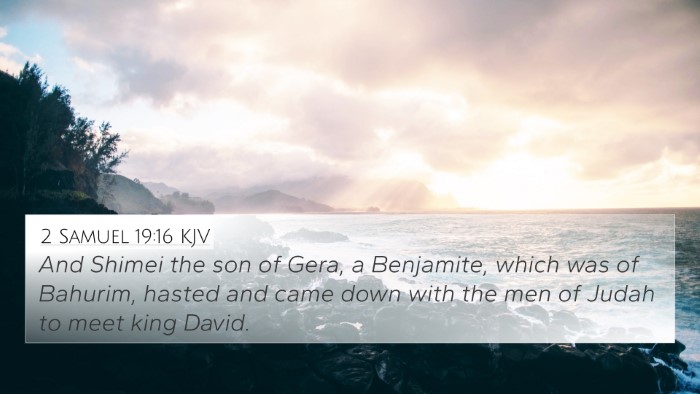 2 Samuel 19:16 KJV Bible Verse Image