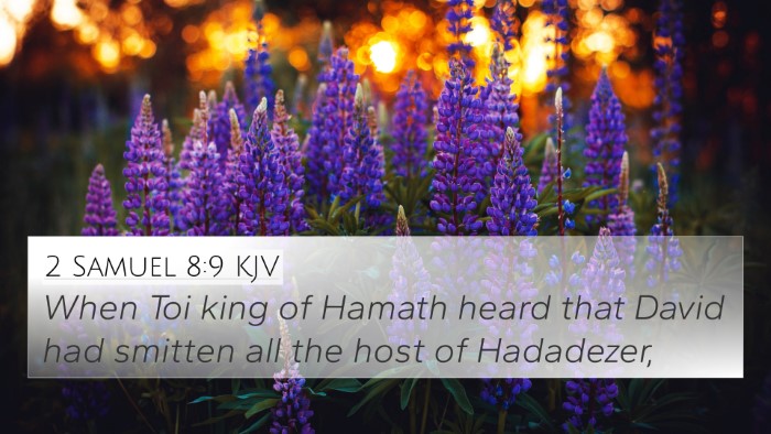 2 Samuel 8:9 KJV 4K Wallpaper - When Toi king of Hamath heard that David had - 4K Wallpaper Bible Verse