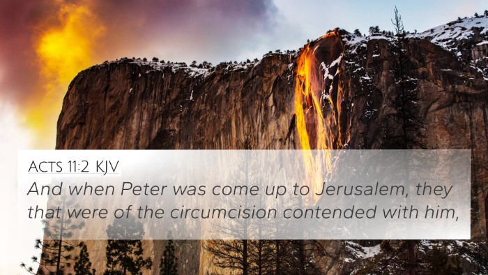 Acts 11:2 KJV Bible Verse Image