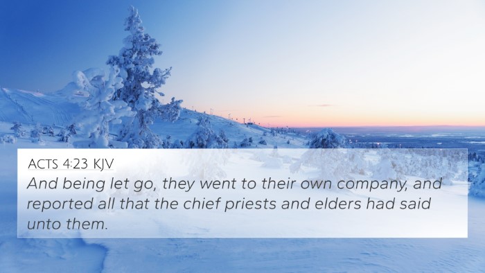 Acts 4:23 KJV Bible Verse Image