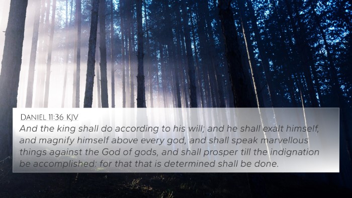 Daniel 11:36 KJV 4K Wallpaper - And the king shall do according to his will; and - 4K Wallpaper Bible Verse