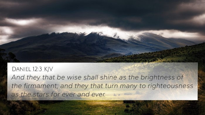 Daniel 12:3 KJV Bible Verse Image