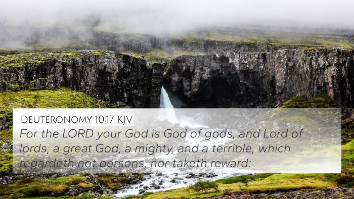 Deuteronomy 10:17 KJV Bible Verse Image