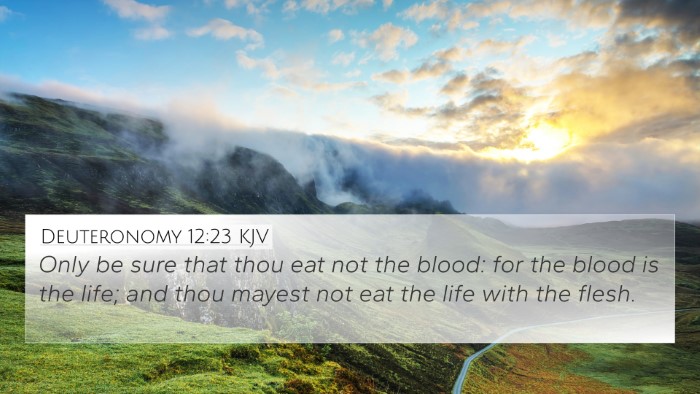 Deuteronomy 12:23 KJV 4K Wallpaper - Only be sure that thou eat not the blood: for the - 4K Wallpaper Bible Verse