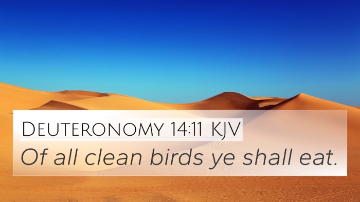 Deuteronomy 14:11 KJV 4K Wallpaper - Of all clean birds ye shall - 4K Wallpaper Bible Verse