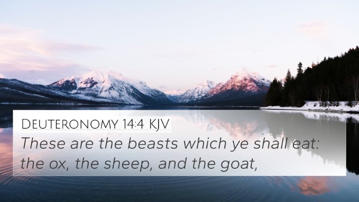 Deuteronomy 14:4 KJV 4K Wallpaper - These are the beasts which ye shall eat: the ox, - 4K Wallpaper Bible Verse