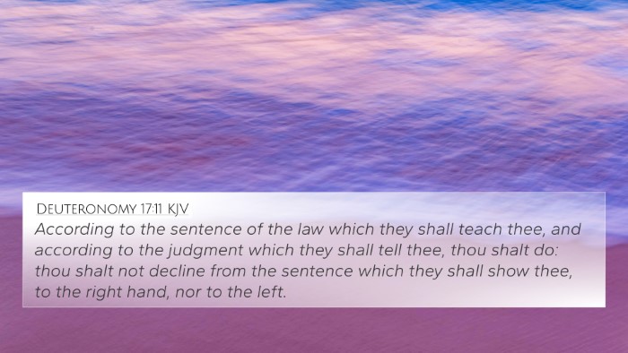 Deuteronomy 17:11 KJV Bible Verse Image