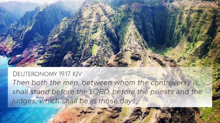 Deuteronomy 19:17 KJV Bible Verse Image