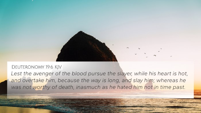 Deuteronomy 19:6 KJV Bible Verse Image