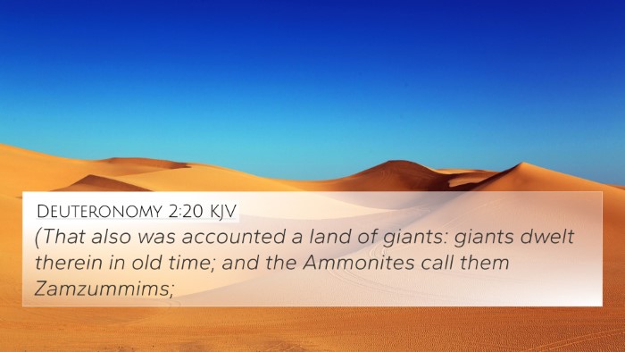 Deuteronomy 2:20 KJV Bible Verse Image