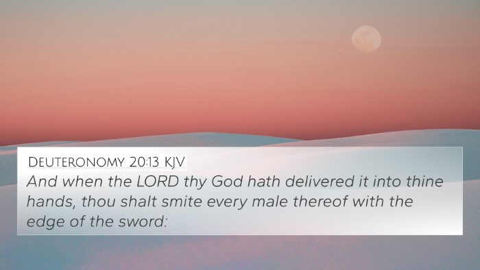 Deuteronomy 20:13 KJV Bible Verse Image