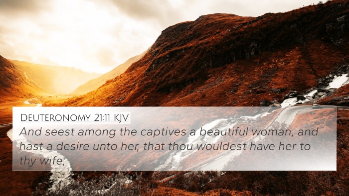 Deuteronomy 21:11 KJV Bible Verse Image
