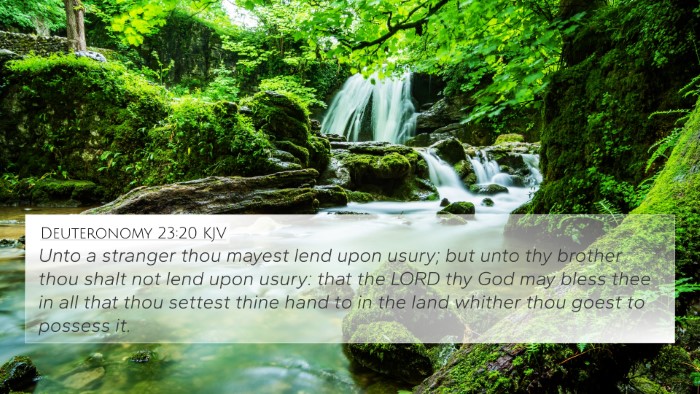 Deuteronomy 23:20 KJV Bible Verse Image