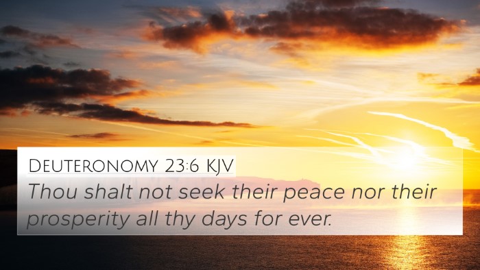 Deuteronomy 23:6 KJV Bible Verse Image