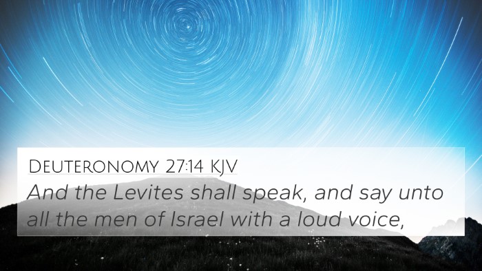 Deuteronomy 27:14 KJV 4K Wallpaper - And the Levites shall speak, and say unto all the - 4K Wallpaper Bible Verse