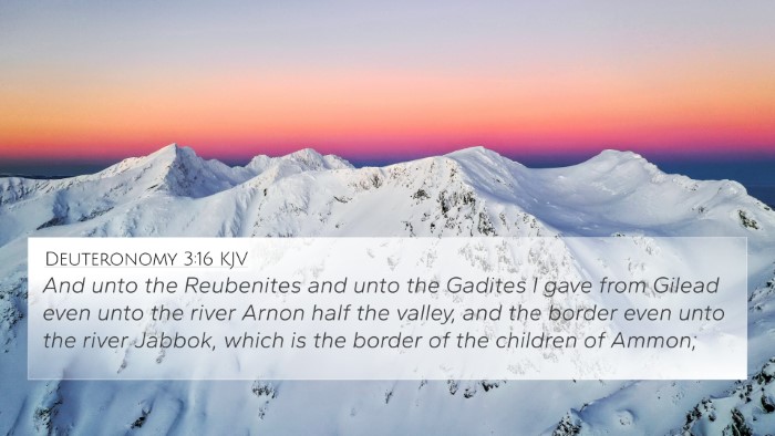 Deuteronomy 3:16 KJV Bible Verse Image