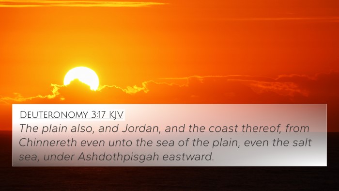 Deuteronomy 3:17 KJV Bible Verse Image