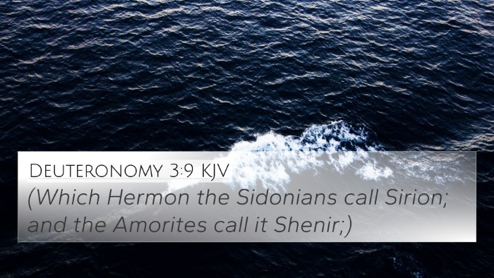 Deuteronomy 3:9 KJV Bible Verse Image