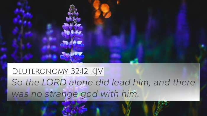 Deuteronomy 32:12 KJV Bible Verse Image