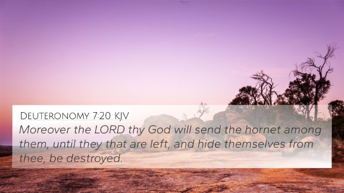 Deuteronomy 7:20 KJV Bible Verse Image