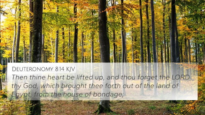 Deuteronomy 8:14 KJV Bible Verse Image