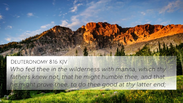 Deuteronomy 8:16 KJV Bible Verse Image