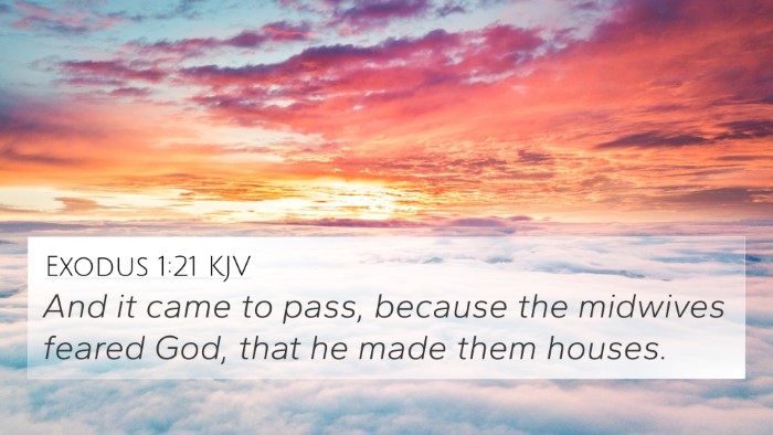 Exodus 1:21 KJV 4K Wallpaper - And it came to pass, because the midwives feared - 4K Wallpaper Bible Verse