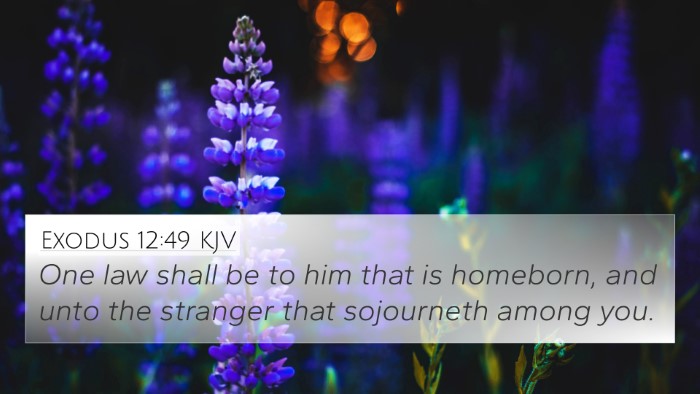 Exodus 12:49 KJV Bible Verse Image