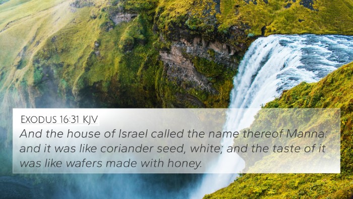Exodus 16:31 KJV Bible Verse Image