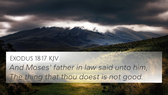 Exodus 18:17 KJV Bible Verse Image